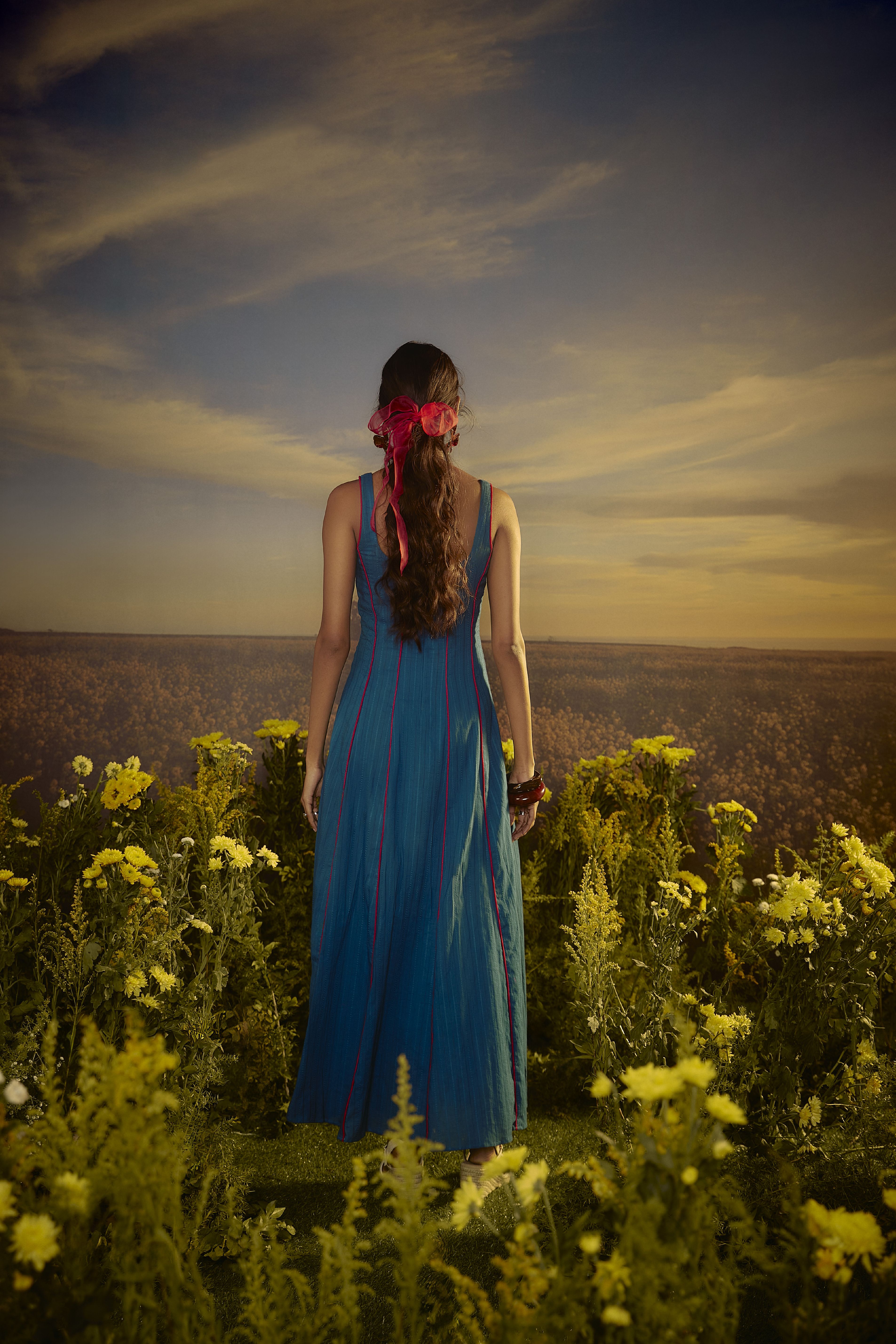 Twilight Tango dress