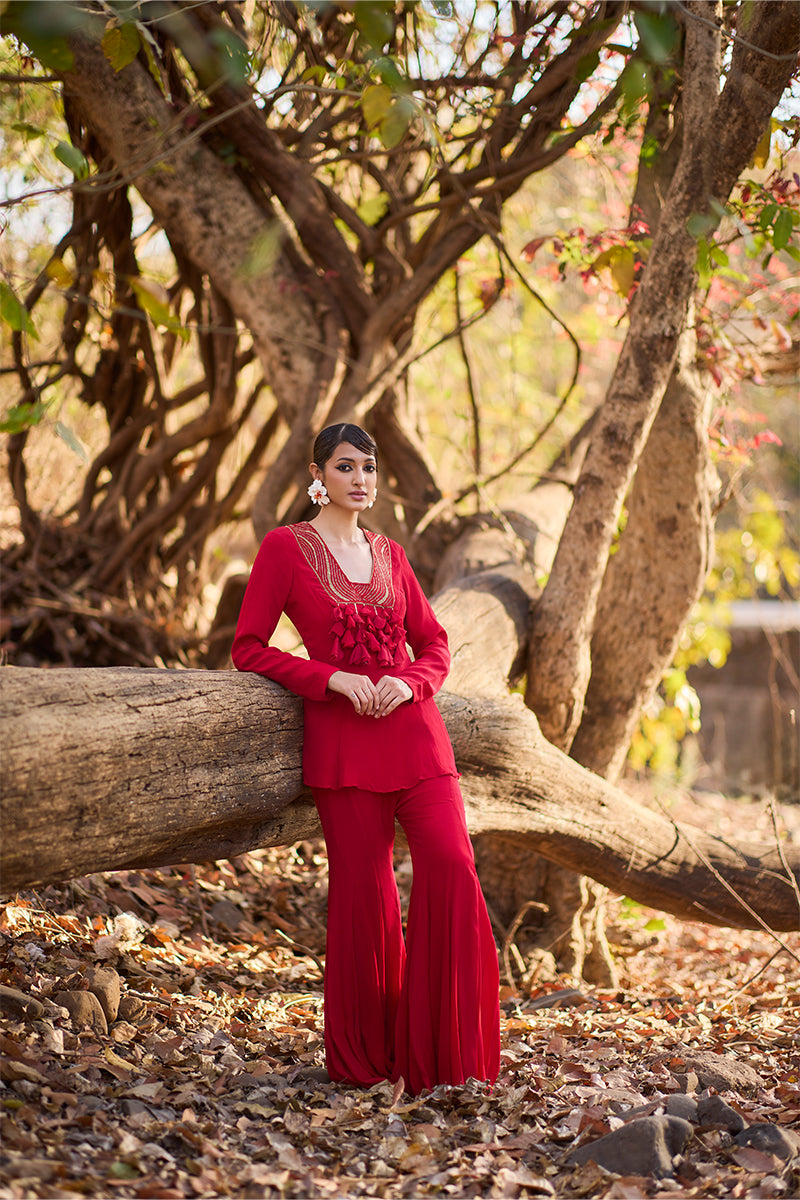 Crimson Diary Sharara Set