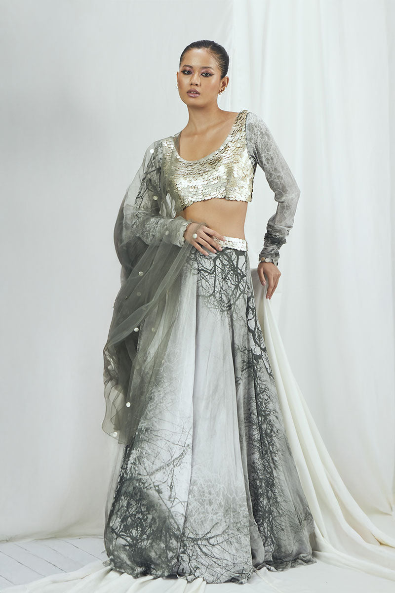 Embriodered Printed Lehenga Set with Dupatta