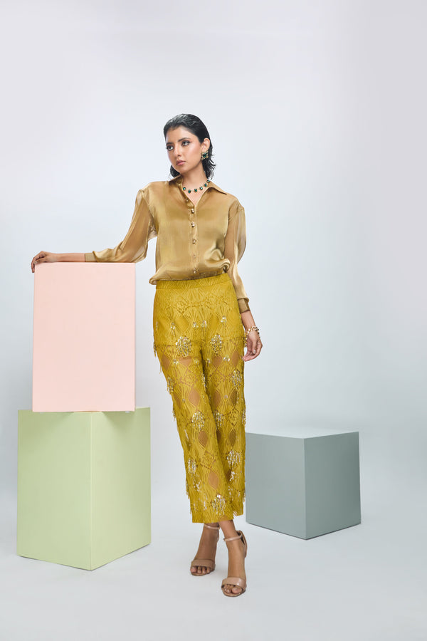Organza Shirt with Full Sleeves with Embroidered Pants and Slip