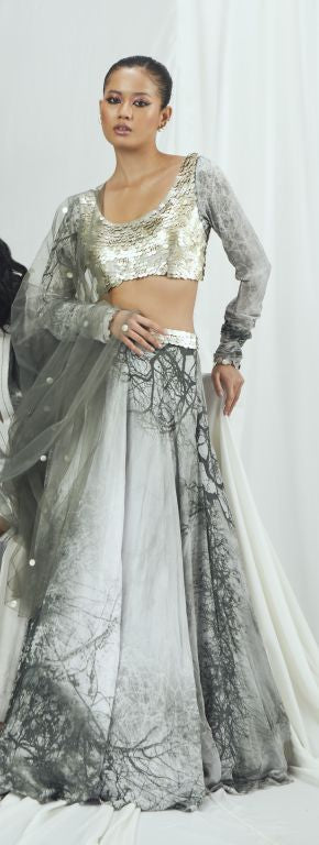 Embriodered Printed Lehenga Set with Dupatta