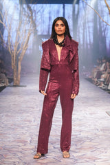 Ruby Sequenced Jumpsuit with Plunge Neck