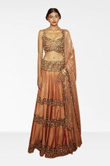 Tan Poth Embroidered Lehenga with Embroidered Blouse and Dupatta
